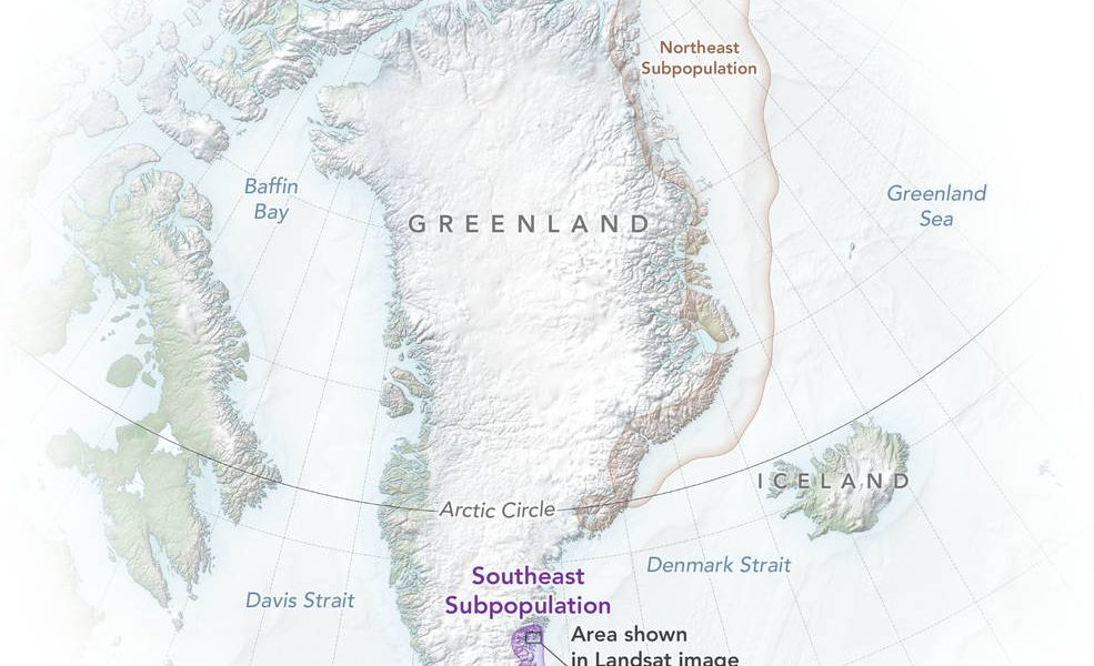 polarbears_greenland_map_2022_lrg.jpg - PressHub24