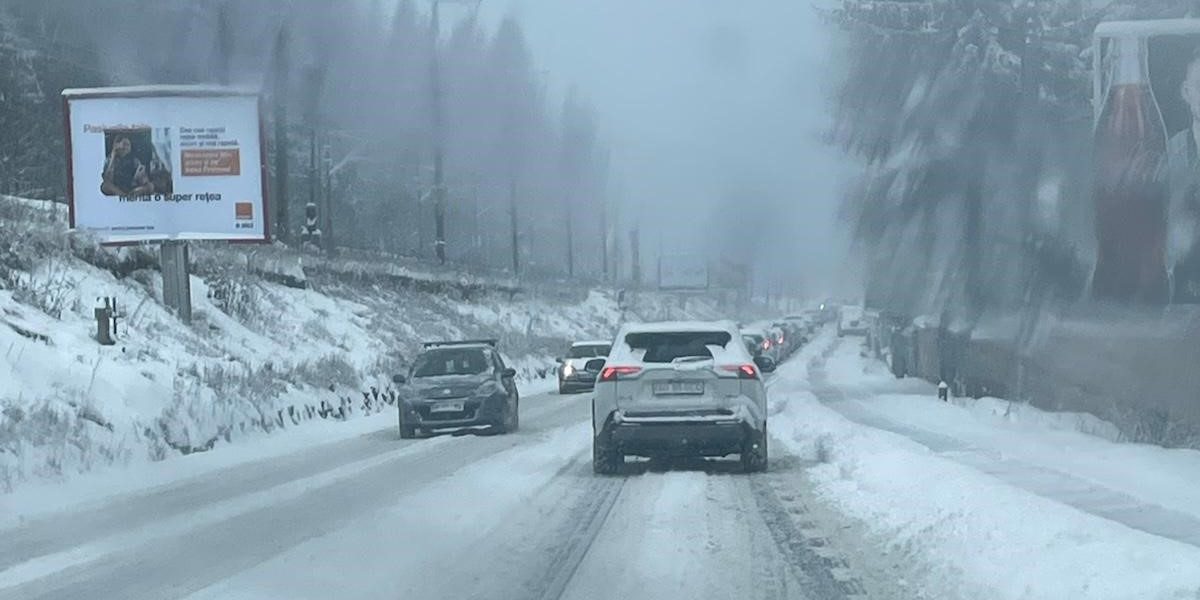 poza-art.jpeg - PressHub24