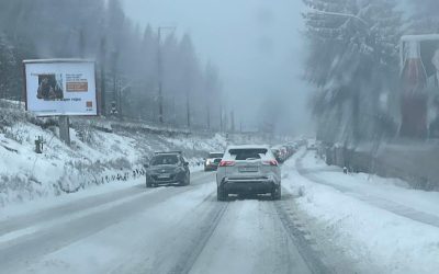 poza-art.jpeg - PressHub24