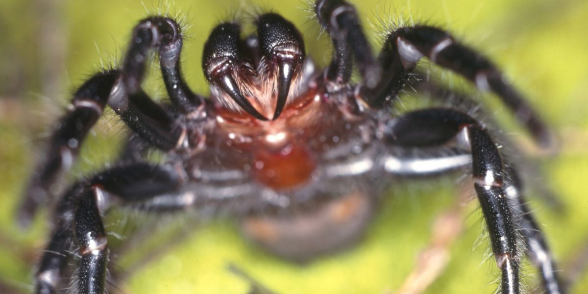 profimedia-0156398475.jpg - PressHub24