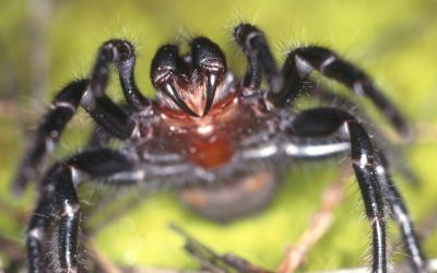 profimedia-0156398475.jpg - PressHub24