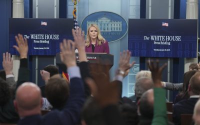 profimedia-0958391960.jpg - PressHub24