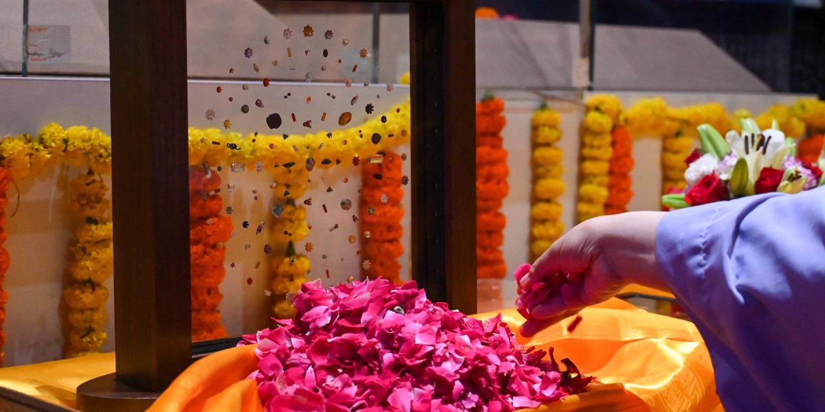 profimedia-1026803337.jpg - PressHub24