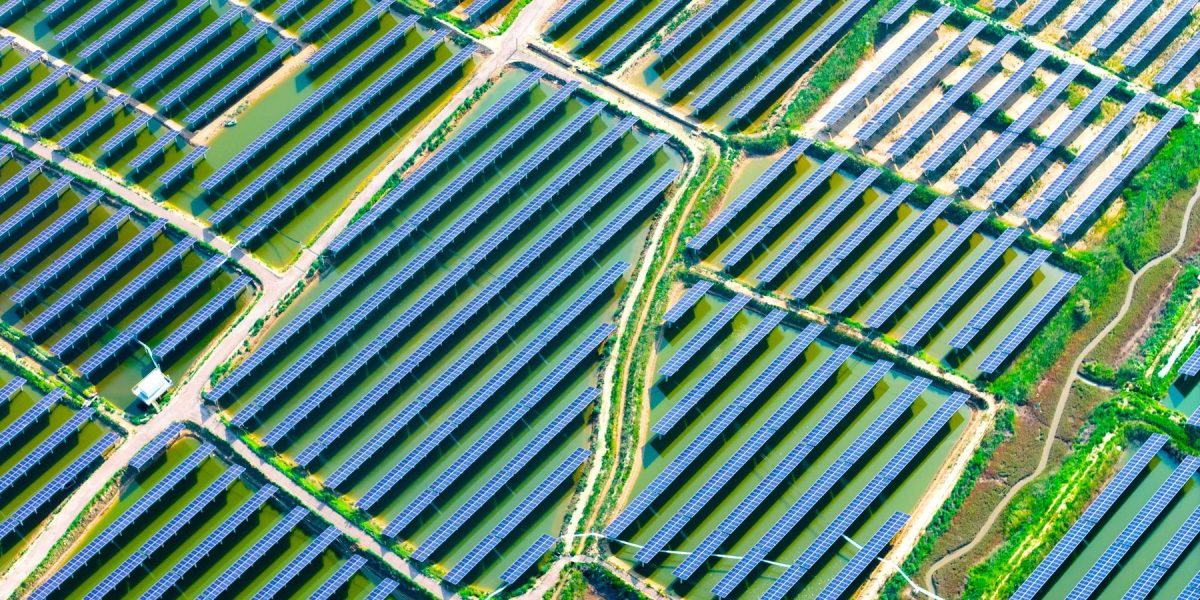 profimedia-1028956324.jpg - PressHub24