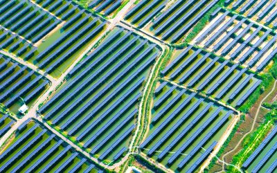 profimedia-1028956324.jpg - PressHub24