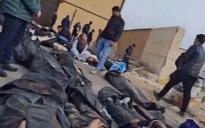 profimedia-1065950410.jpg - PressHub24