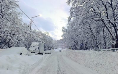 profimedia-1066200499.jpg - PressHub24