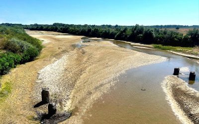 rau-secat-2.jpg - PressHub24