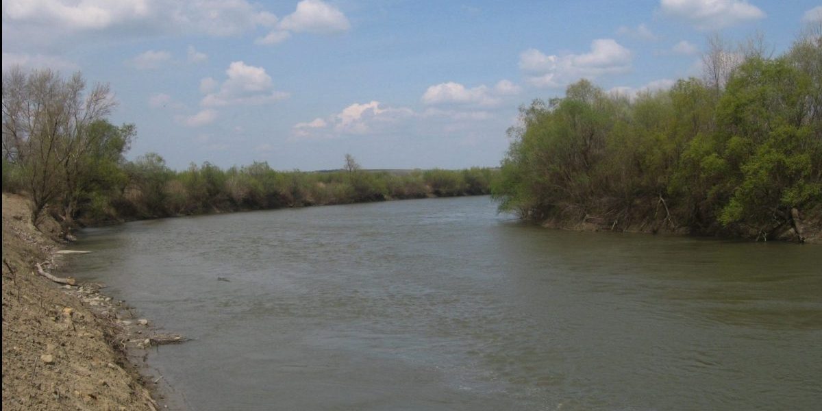 raul-prut-e1644224400143.jpeg - PressHub24