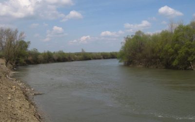 raul-prut-e1644224400143.jpeg - PressHub24