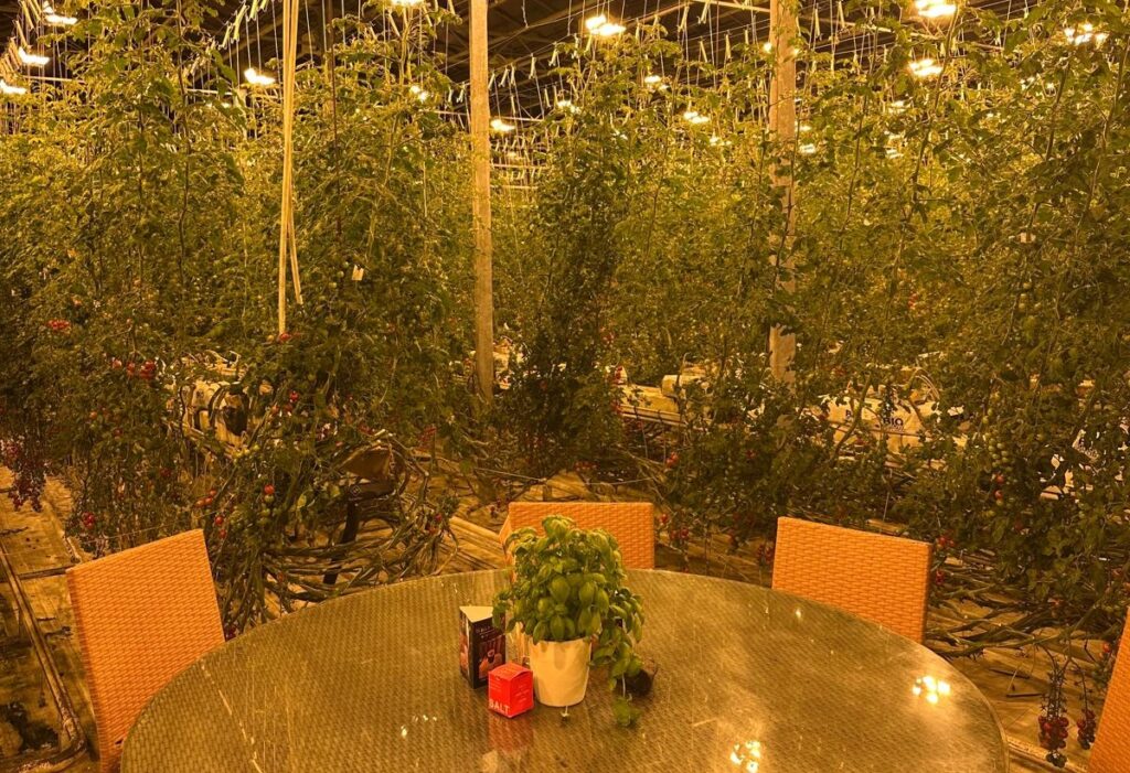 Restaurant în seră de roșii, o premieră