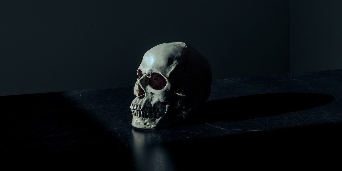 skull-1867707_1920.jpg - PressHub24