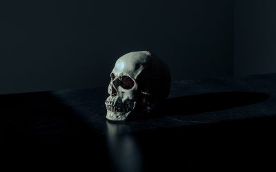 skull-1867707_1920.jpg - PressHub24