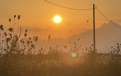 soare-caldura-canicula-fotoo-g4media-o-hategan.jpg - PressHub24