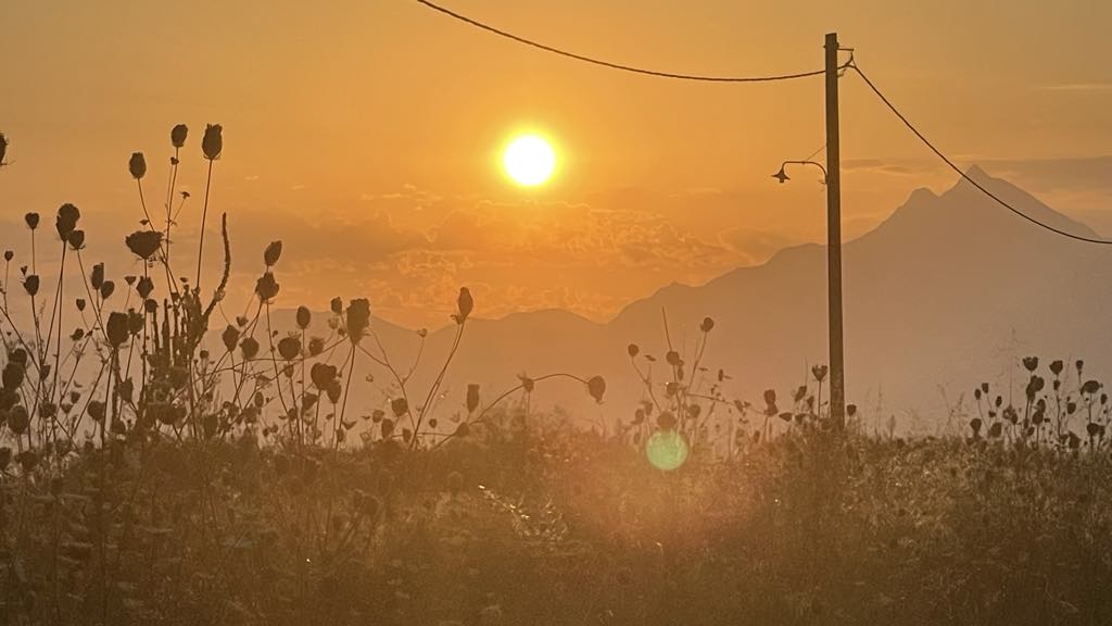 soare-caldura-canicula-fotoo-g4media-o-hategan.jpg - PressHub24