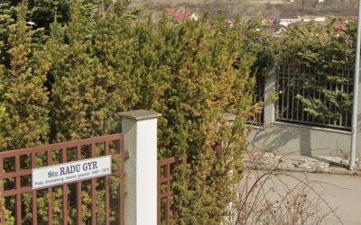 strada-radu-gyr.jpg - PressHub24