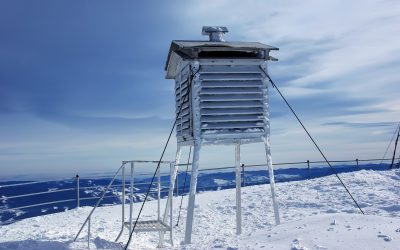 toaca.jpeg - PressHub24