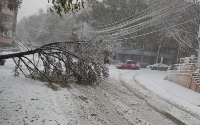 viscol-copaci-cazuti-iarna-zapada-cod-rosu7-e1700996732540.jpg - PressHub24