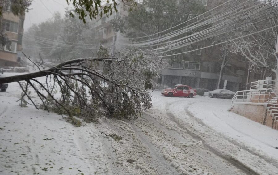 viscol-copaci-cazuti-iarna-zapada-cod-rosu7-e1700996732540.jpg - PressHub24