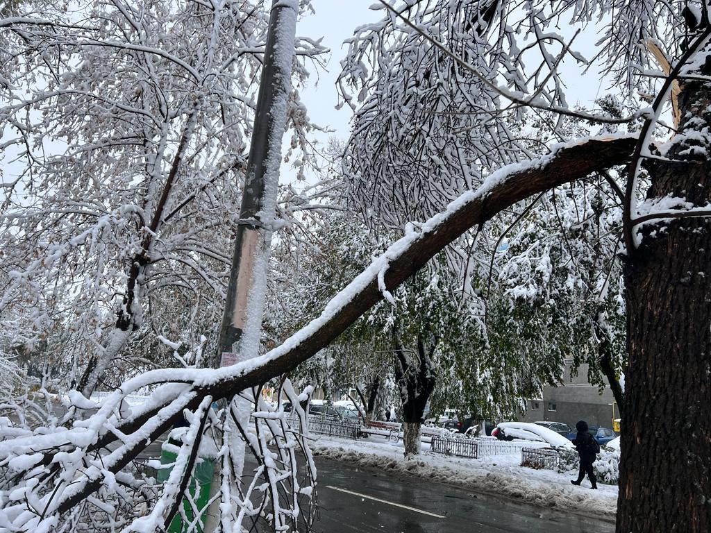 Ninsorile lasă mii de utilizatori fără electricitate în Hunedoara și Timiș