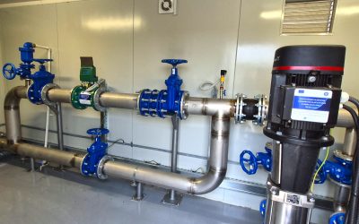 1-e1770755596885.jpg - PressHub24