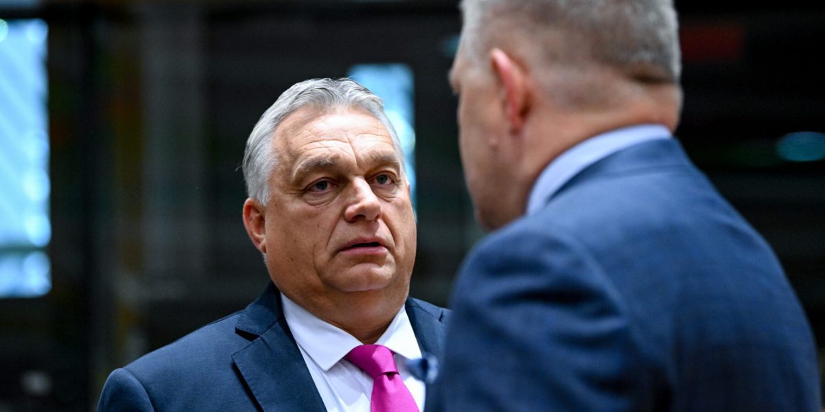 241cae23-1980-4ab2-90d1-f351ad0a1a59-e1702475590659.jpg - PressHub24