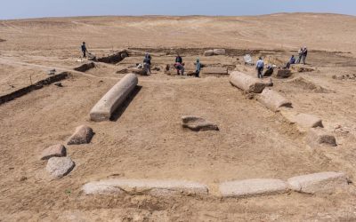 279212255_357560693072150_6526251018744644954_n-e1650962328833.jpg - PressHub24