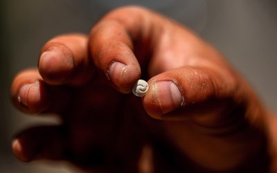 32KW7GZ-highres.jpg - PressHub24