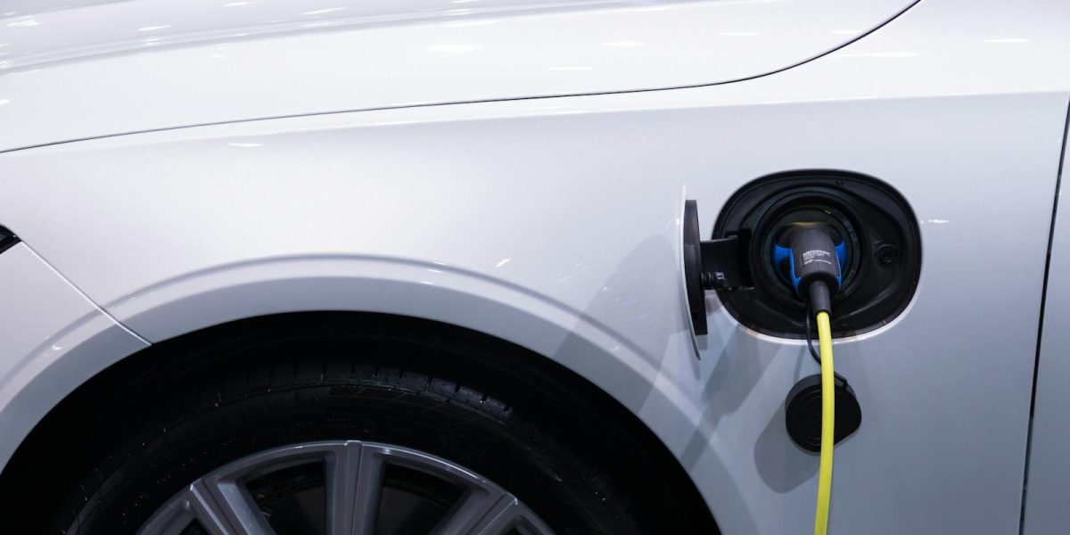 3846205.jpeg - PressHub24