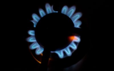 82003c33-ec60-4449-9f50-49bc4fdab088.jpg - PressHub24