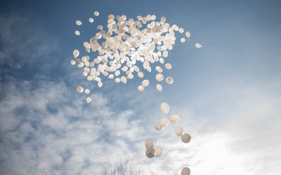 FB1A1660.jpg - PressHub24