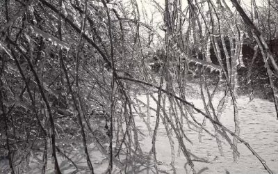 Valul de ger siberian a ajuns în România. Cod galben de temperaturi foarte scăzute în mai multe județe din țară