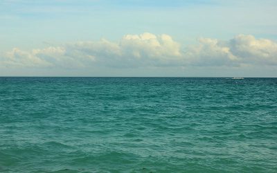 Gfp-florida-miami-ocean-and-horizon.jpg - PressHub24