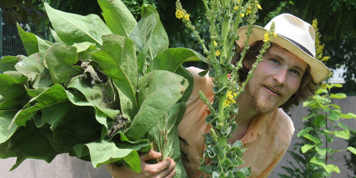 Ionut-Badica.jpg - PressHub24