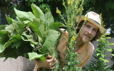 Ionut-Badica.jpg - PressHub24