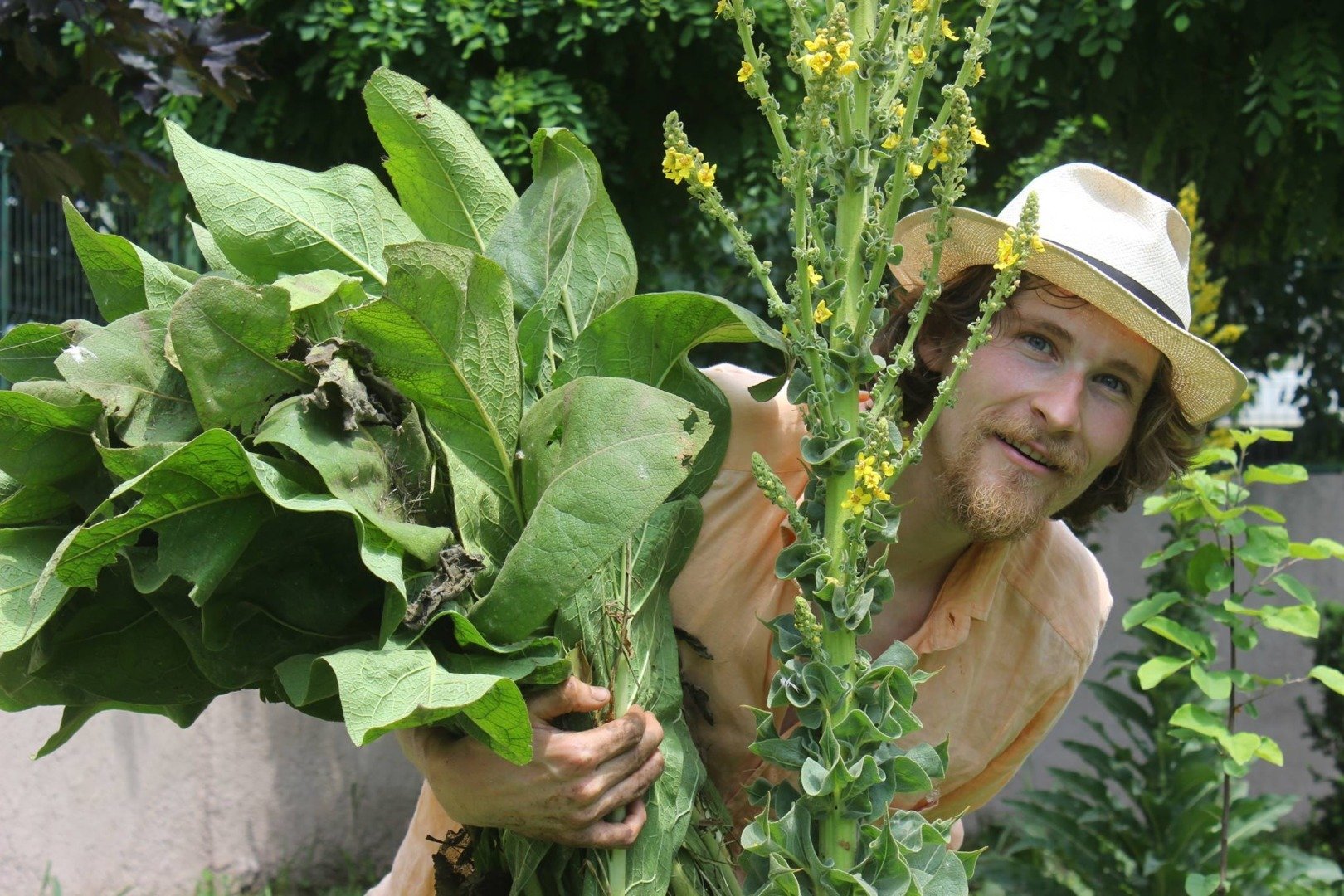 Mazărea de toamnă fertilizează natural solul, spune Ionuț Bădică