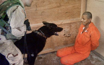 Screenshot-2024-11-12-at-22.31.31.png - PressHub24