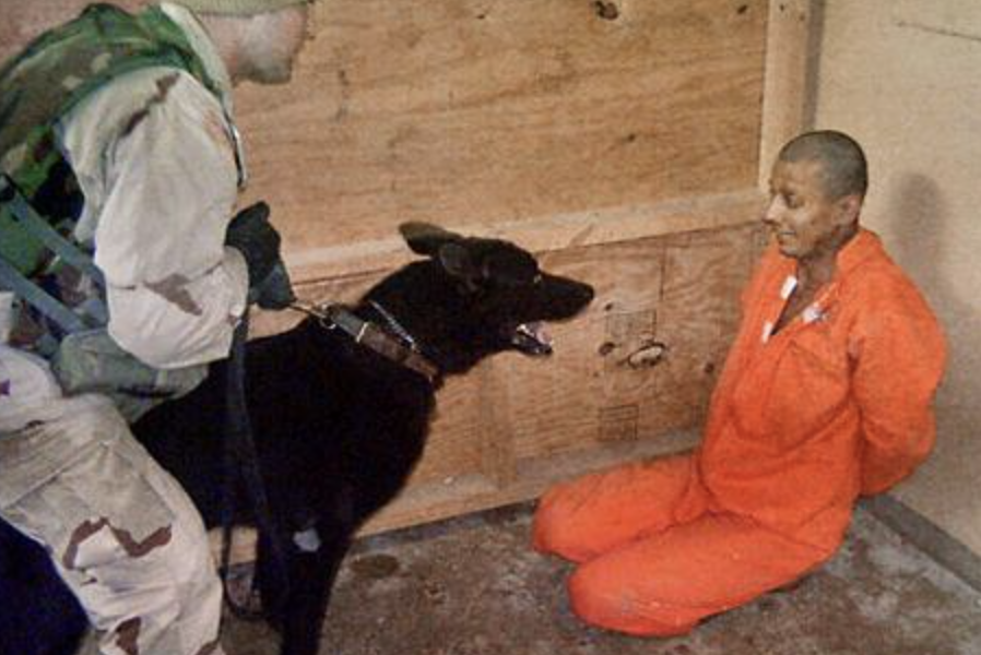 Screenshot-2024-11-12-at-22.31.31.png - PressHub24