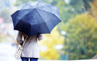 Screenshot-2025-05-19-at-14.43.45-1024x560.png - PressHub24