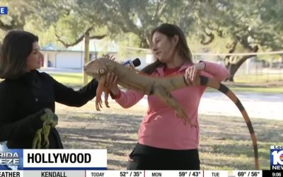 Screenshot-2026-02-02-at-10.29.50.jpg - PressHub24