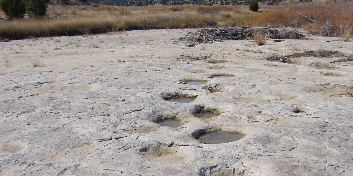 Screenshot-972.jpg - PressHub24