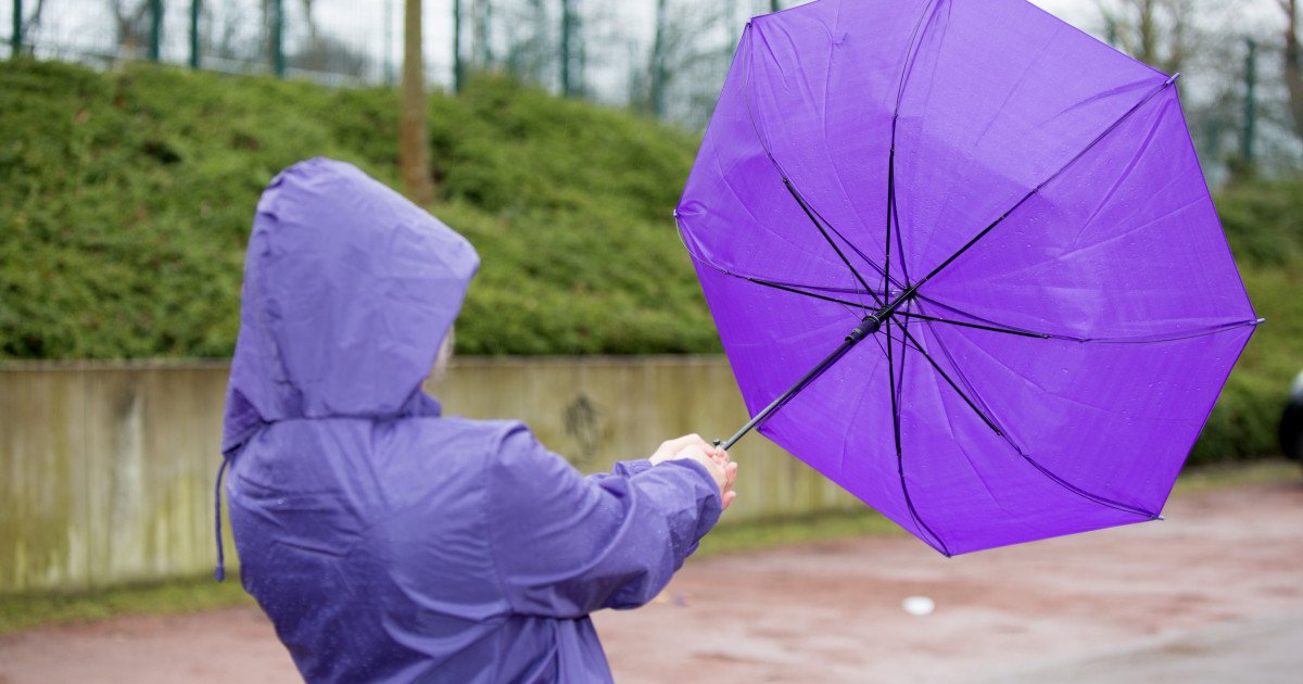 Cinci județe se află sub avertizare de vânt puternic. Anunțul meteorologilor
