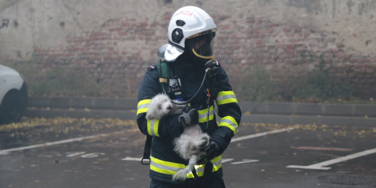 WhatsApp-Image-2024-12-07-at-14.50.32.jpeg - PressHub24