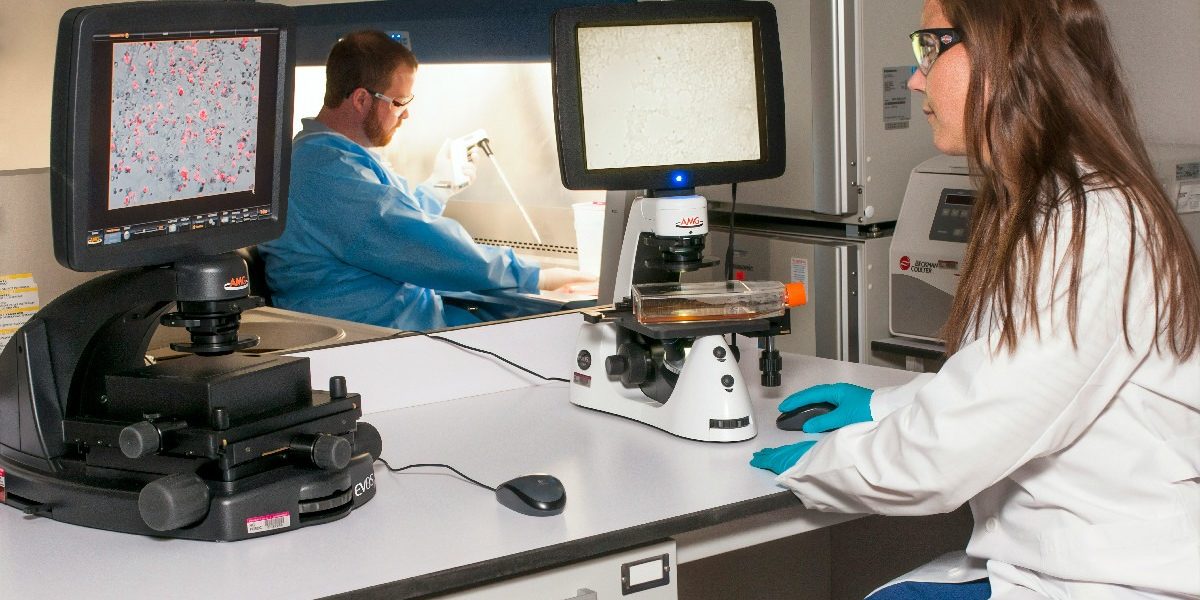 cancer-control-doctor-analiza-spital-doctori-medicina.jpg - PressHub24