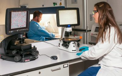 cancer-control-doctor-analiza-spital-doctori-medicina.jpg - PressHub24