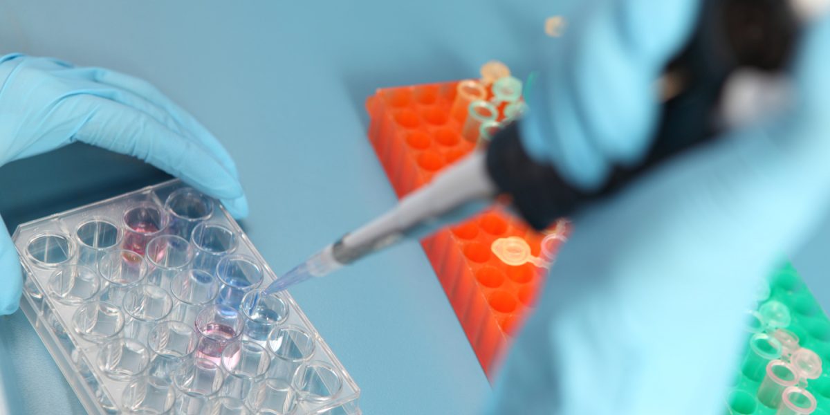 dreamstime_m_11427258.jpg - PressHub24