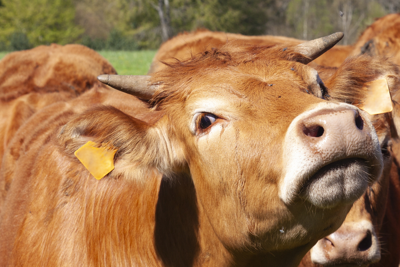 dreamstime_s_356501068.jpg - PressHub24