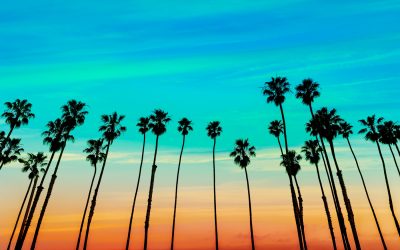 dreamstime_xl_37498786.jpg - PressHub24