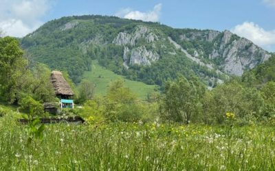 foto-apuseni-sursa-g4media-e1688459569191.jpg - PressHub24