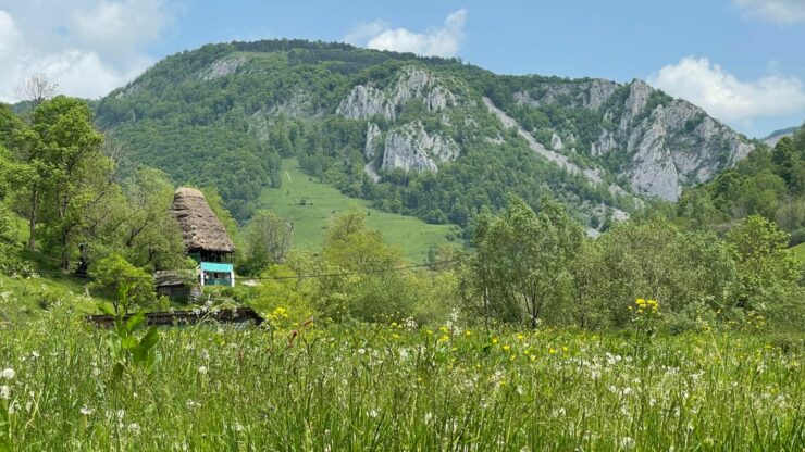 foto-apuseni-sursa-g4media-e1688459569191.jpg - PressHub24